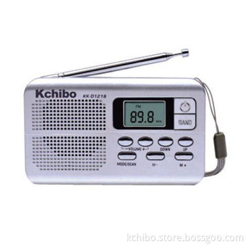 DSP 2-band radio with manual auto search